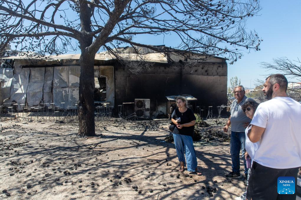Major wildfire in Athens suburbs under control, leaving one dead-Xinhua