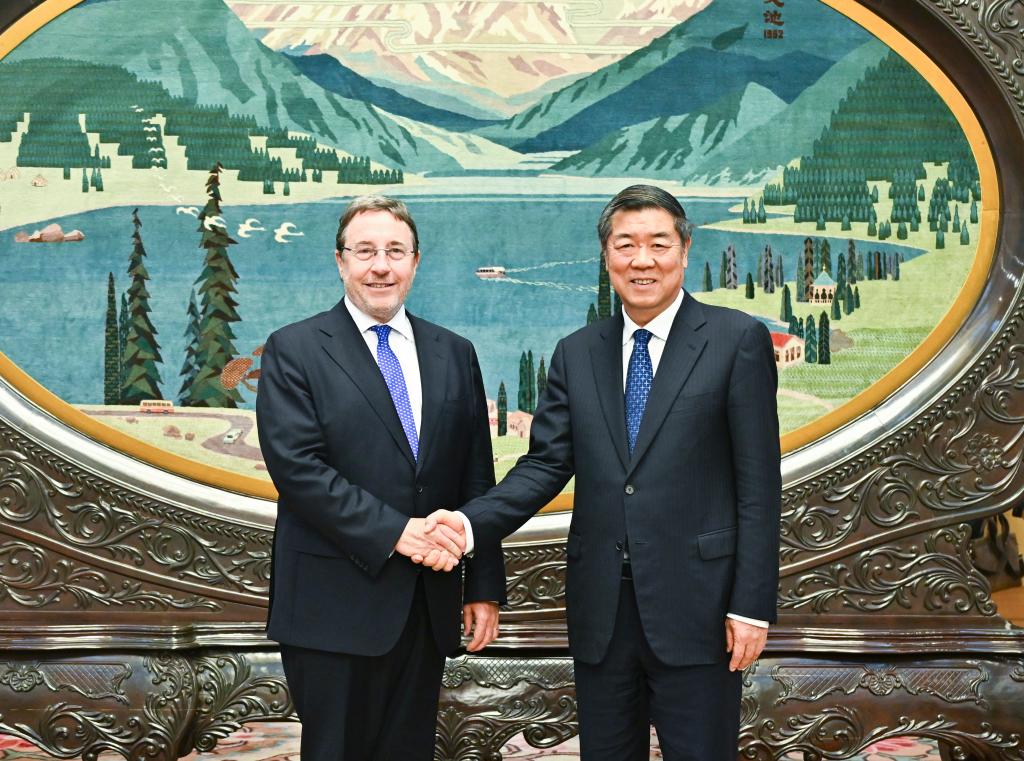 Chinese vice premier calls on upgraded cooperation with UNDP-Xinhua