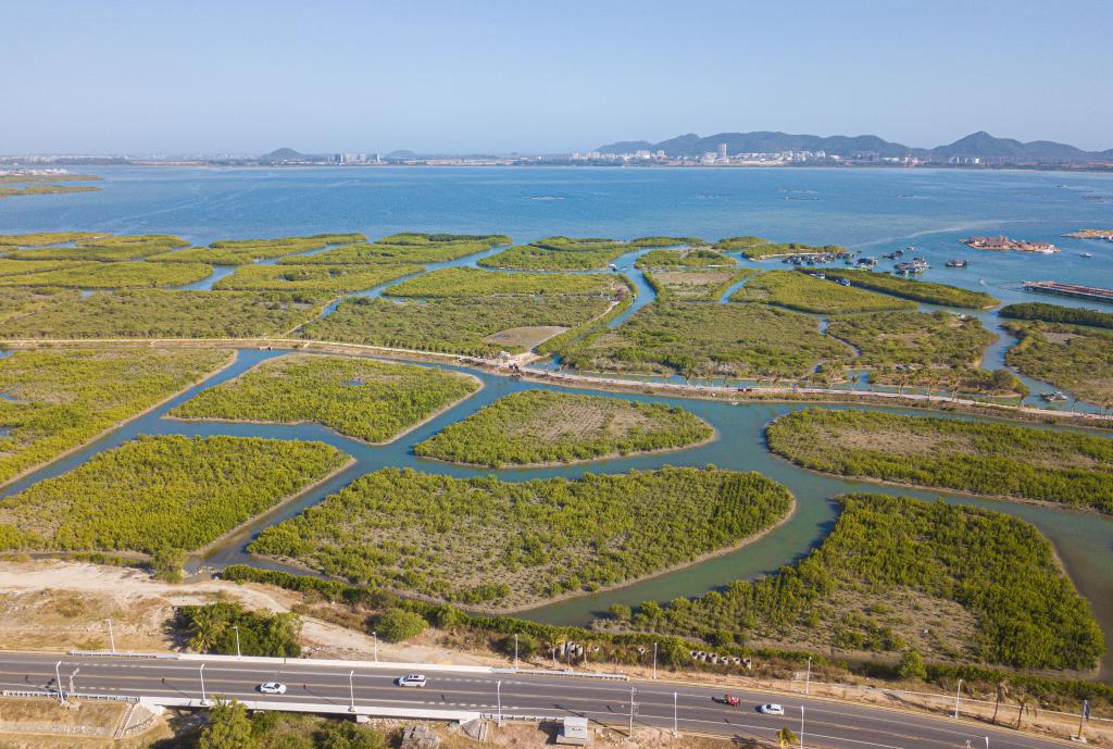 Scenic loop highways promote tourism in south China's Hainan-Xinhua