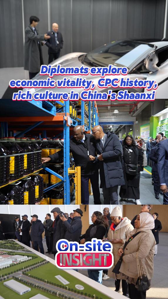 On-site Insight | Diplomats explore economic vitality, CPC history, rich culture in China's Shaanxi