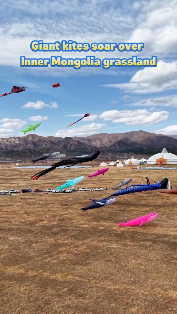 Giant kites soar over Inner Mongolia grassland
