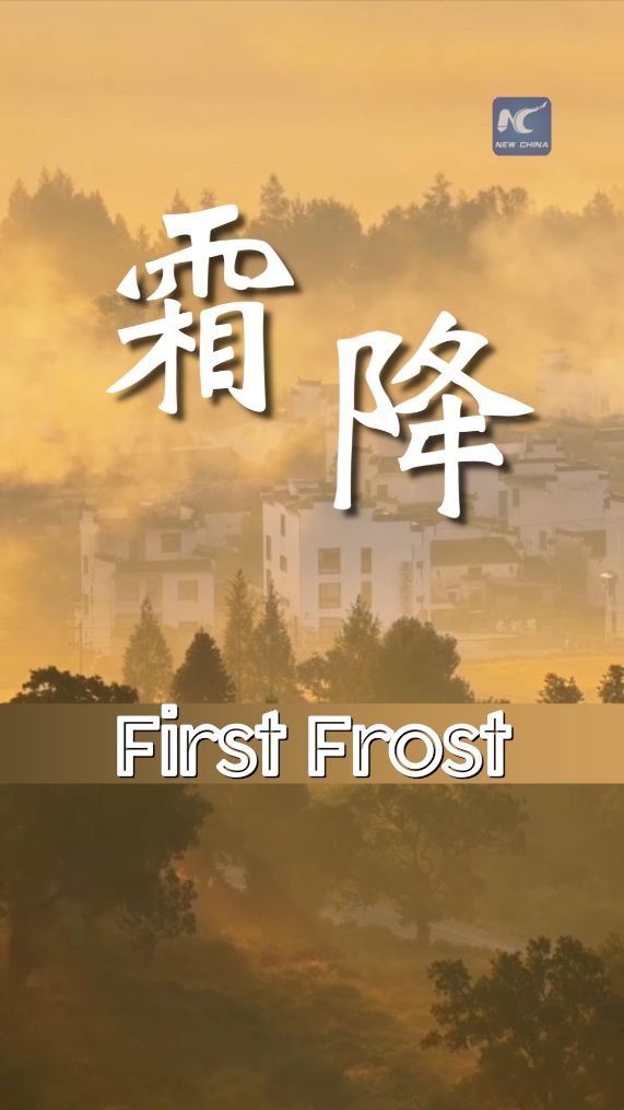 First Frost: autumn gives way to winter