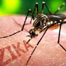 58 cases of Zika virus infection confirmed in Spain