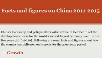 Infographics: Facts and figures on China 2011-2015