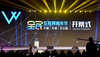 Internet carnival opens in Beijing