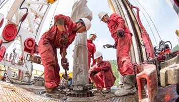 China's largest shale gas project goes into production