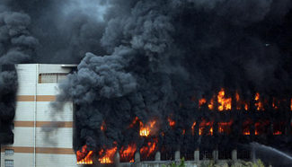 No casualty reported for factory fire in SE China