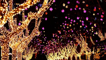 Decorations, lanterns illuminated to greet Spring Festival in China