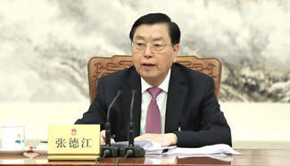 Zhang Dejiang chairs 2nd meeting of executive chairpersons of presidium