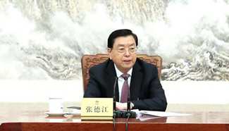 Zhang Dejiang chairs 3rd meeting of executive chairpersons of presidium